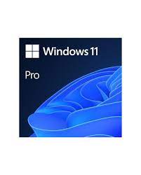 Windows 11 Pro OEM License Key